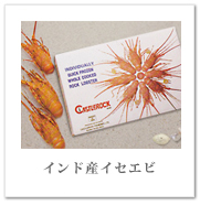 インド産イセエビ